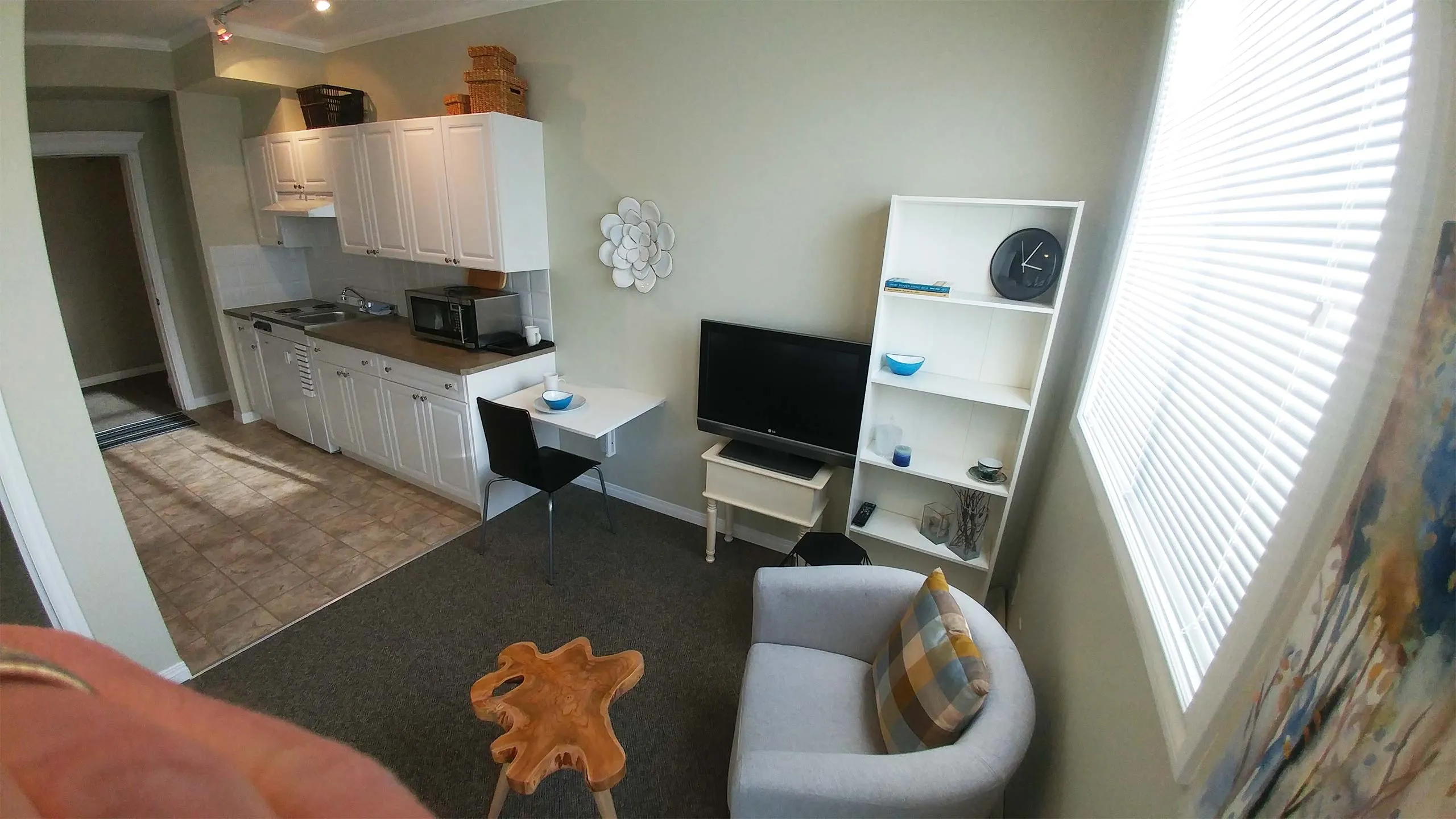 A furnished Freedom Living studio suite with a kitchenette, TV, shelving and an armchair
